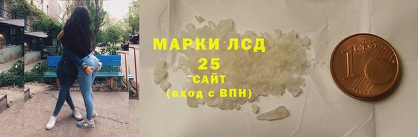 ГАЛЛЮЦИНОГЕННЫЕ ГРИБЫ Слюдянка