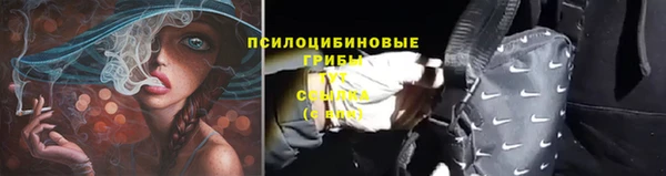 сатива Алексеевка