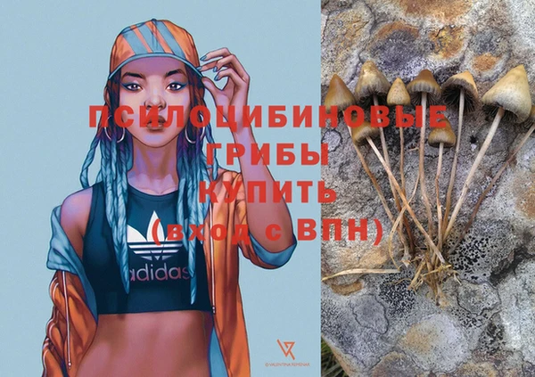 сатива Алексеевка