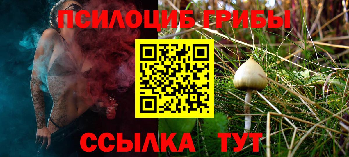 купить наркотик  Вход с VPN  Галлюциногенные грибы Magic Shrooms  Усть-Илимск  Галлюциногенные грибы Cubensis 